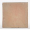 BARRO ROSADO 30x30cm M2 CPRF 