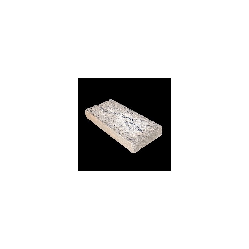 PLAQUETA SPLIT GRANITO 40X20X5cm PPSGG 
