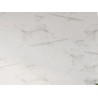 CALACATA WHITE SPC 60x120cm (2,88m2) M2 FOREST 