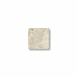 LOSA TRAVERTINO 20x20cm...