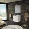 MUEBLE SEVILLA 60X46cm SUSPENDIDO ROBLE OSTIPPO 2 CAJONES 