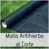 ANTIHIERBA M2. 100g MALSE011 