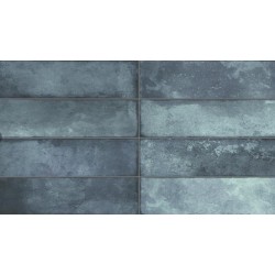 EXOTIK AZUL 30x60cm...