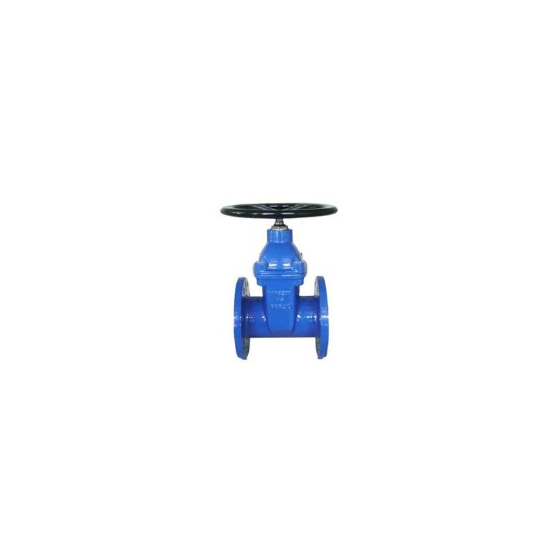 VALVULA 50 COMPUERTA FUNDICION DUCTIL C BRIDAS AZUL 1201000050 