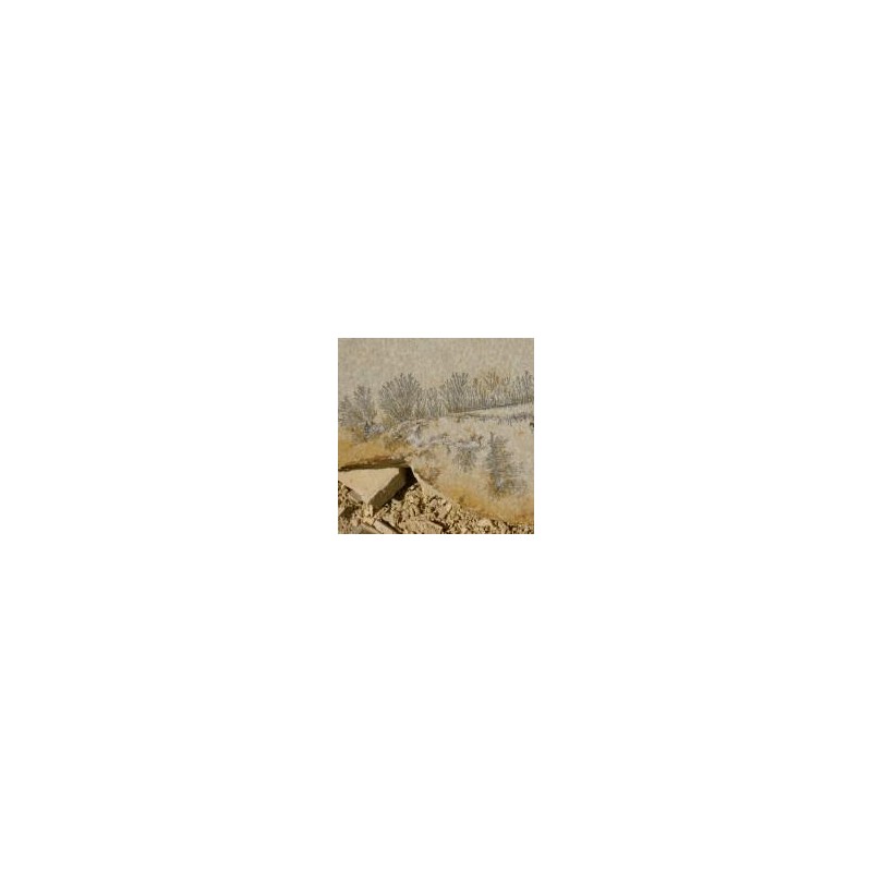 PIEDRA ALEMANA SOLNHOFEN® FOSIL AMARILLA PALET ( palet 20m2 aprox)  