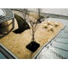 PIEDRA ALEMANA SOLNHOFEN® FOSIL AMARILLA PALET ( palet 20m2 aprox)  