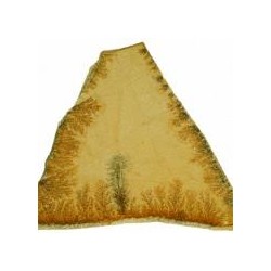 PIEDRA ALEMANA SOLNHOFEN® FOSIL AMARILLA PALET ( palet 20m2 aprox)  