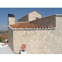 PIEDRA ALEMANA SOLNHOFEN® FOSIL AMARILLA PALET ( palet 20m2 aprox)  