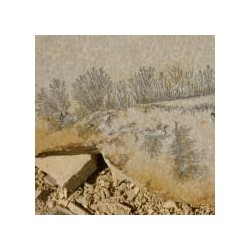 PIEDRA ALEMANA SOLNHOFEN® FOSIL AMARILLA PALET ( 50m2 aprox.) 