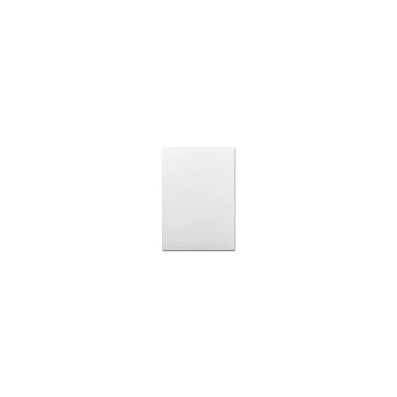 BLANCO BRILLO 25x40cm (1,60m2 STN) M2 